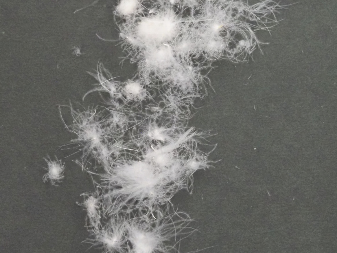 羽毛 布団 メンテナンス リフォーム 作り替え 婚礼 30年以上 シルク 山甚 ダブルサイズ プレミアムウォッシュ 羽毛診断 無料 相談 集配無料 ダウンプロフェッサー 一級寝具技能士 京都 亀屋寝装センター