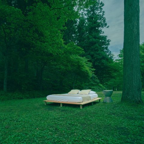 Yunagi Solid Sugi Minimalist Bed | ベッドフレーム (ヘッド無)