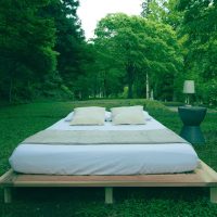 Yunagi Solid Sugi Minimalist Bed | ベッドフレーム (ヘッド無)